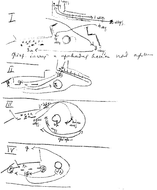 252.jpg