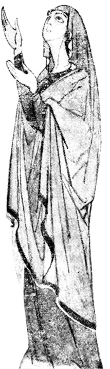 Image_265.jpg